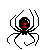 Spider11